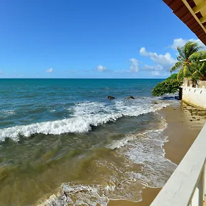 Lemon Tree Ocean Front Rincon